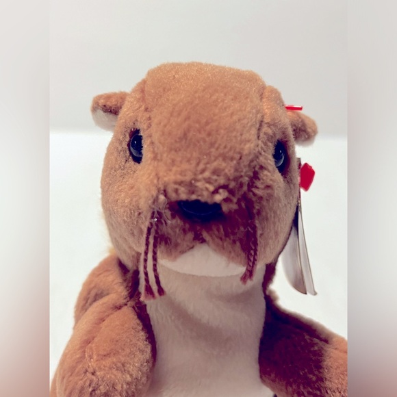 Nuts The Squirrel TY Beanie Baby 1996 - Picture 6 of 11